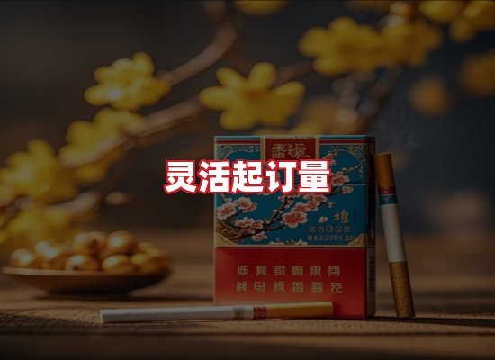 专业团队